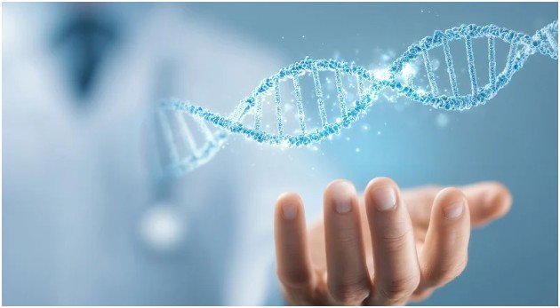 What Is a DNA-Based Diet Plan and How Does It Work?